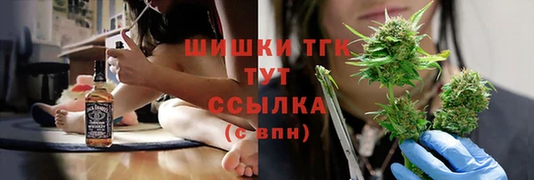 дживик Белокуриха
