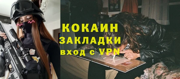 дживик Белокуриха