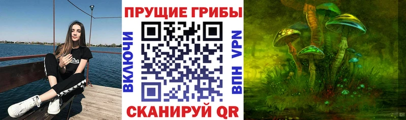 Псилоцибиновые грибы мицелий  Заринск 