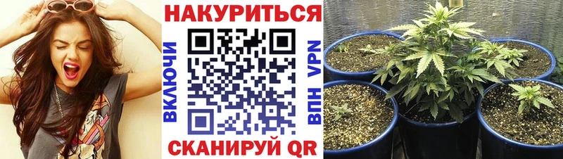 Канабис Ganja  Заринск 